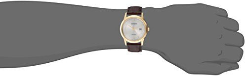 Citizen Men's Eco-Drive Classic Watch in Gold-Tone Stainless Steel with Brown Leather Strap, Champagne Dial (Model: AW1232-04A)