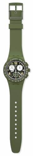 Swatch Chrono 42 Unisex Watch Dress Stainless Steel Green Quartz Waterproof Nothing Basic About Green