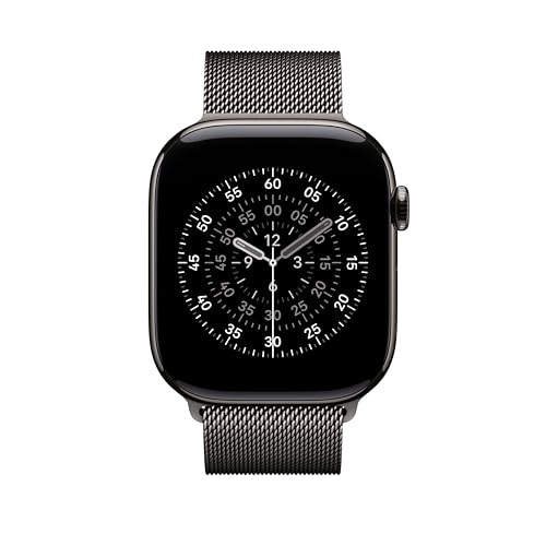 Apple Watch Band - Milanese Loop - 46mm - Slate - M/L