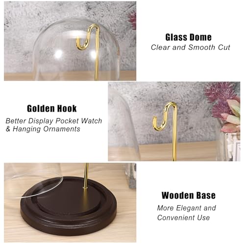 JUXYES Clear Watch Glass Display Dome Cloche With Hook, Dome Cloche with Hook with Wooden Base, Transparent Dome Cloche Bell Terrarium Jar Glass Cloche Bell Jar Display for Watch Ornaments