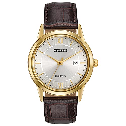 Citizen Men's Eco-Drive Classic Watch in Gold-Tone Stainless Steel with Brown Leather Strap, Champagne Dial (Model: AW1232-04A)