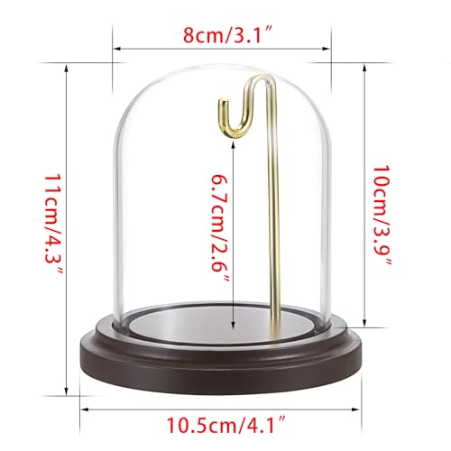 JUXYES Clear Watch Glass Display Dome Cloche With Hook, Dome Cloche with Hook with Wooden Base, Transparent Dome Cloche Bell Terrarium Jar Glass Cloche Bell Jar Display for Watch Ornaments