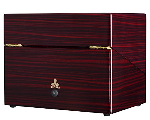 CHIYODA Dual Watch Winder for Automatic Watch, Men's and Women's Watches with 2 Mabuchi Motors, LCD Control Touch Screen, Perfect Display for Home and Office