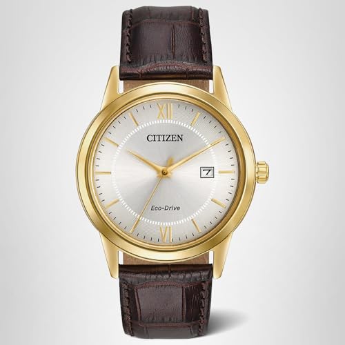 Citizen Men's Eco-Drive Classic Watch in Gold-Tone Stainless Steel with Brown Leather Strap, Champagne Dial (Model: AW1232-04A)