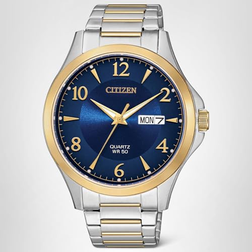 Citizen Quartz Mens Watch, Stainless Steel, Classic, Two-Tone (Model: BF2005-54L)
