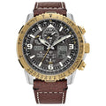 Citizen Men's Promaster Air Skyhawk Eco-Drive Pilot Watch