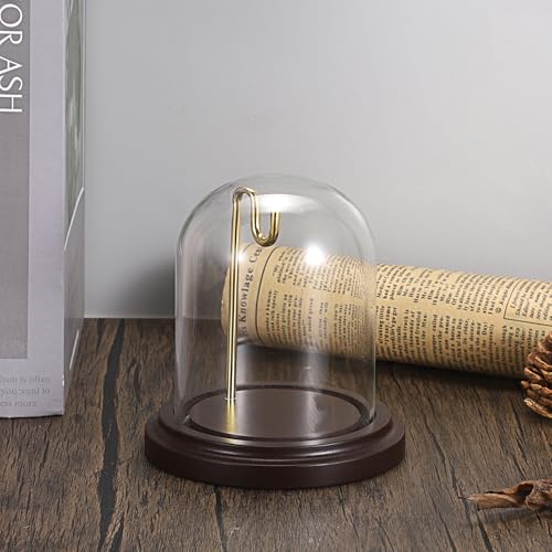 JUXYES Clear Watch Glass Display Dome Cloche With Hook, Dome Cloche with Hook with Wooden Base, Transparent Dome Cloche Bell Terrarium Jar Glass Cloche Bell Jar Display for Watch Ornaments