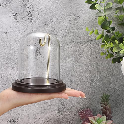 JUXYES Clear Watch Glass Display Dome Cloche With Hook, Dome Cloche with Hook with Wooden Base, Transparent Dome Cloche Bell Terrarium Jar Glass Cloche Bell Jar Display for Watch Ornaments