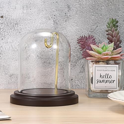 JUXYES Clear Watch Glass Display Dome Cloche With Hook, Dome Cloche with Hook with Wooden Base, Transparent Dome Cloche Bell Terrarium Jar Glass Cloche Bell Jar Display for Watch Ornaments