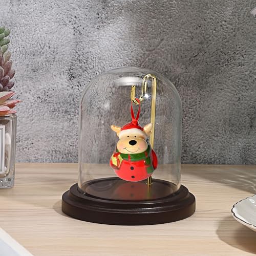 JUXYES Clear Watch Glass Display Dome Cloche With Hook, Dome Cloche with Hook with Wooden Base, Transparent Dome Cloche Bell Terrarium Jar Glass Cloche Bell Jar Display for Watch Ornaments