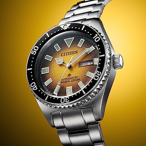 Citizen Men's Promaster Dive Automatic 3-Hand Stainless Steel Watch, Day Date, Luminous, 41mm