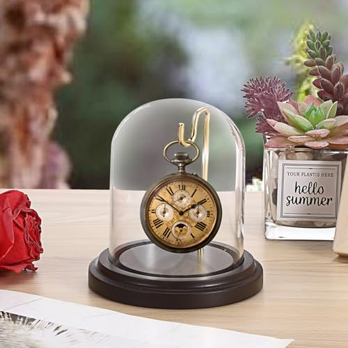 JUXYES Clear Watch Glass Display Dome Cloche With Hook, Dome Cloche with Hook with Wooden Base, Transparent Dome Cloche Bell Terrarium Jar Glass Cloche Bell Jar Display for Watch Ornaments